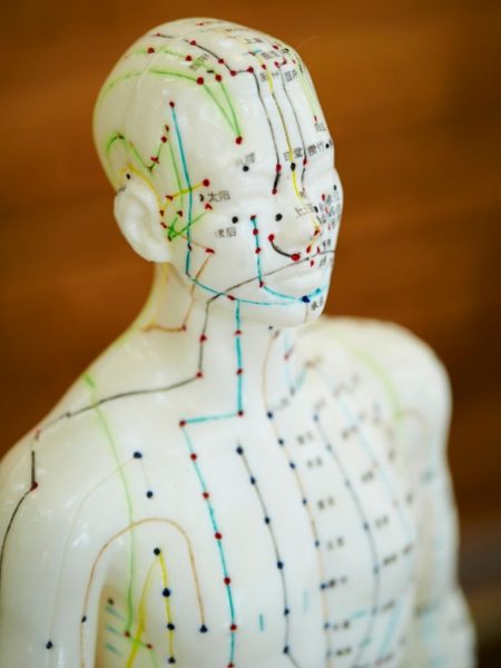 shiatsu model shiatsu model